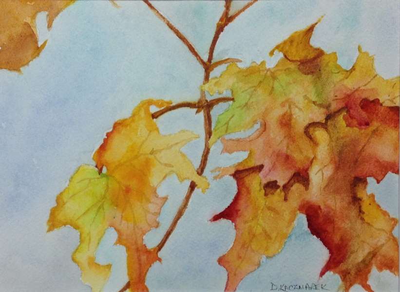 Autumn Leaves III, Watercolour, 14 ½” x 12 ¼”, $110