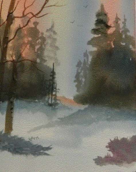 Sun through the Winter Trees