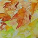 Autumn Leaves I, Watercolour, 14 ½” x 12 ¼”, $110