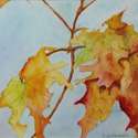Autumn Leaves III, Watercolour, 14 ½” x 12 ¼”, $110