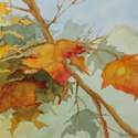 Autumn Leaves II, Watercolour, 14 ½” x 12 ¼”, $110